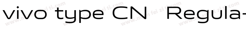 vivo type CN简 Regula字体转换
